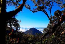 Jiba Le Geunteut Gunong Geureudong geunteut gunong geureudong puncak burni telong