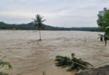 Puluhan Rumah Warga di Balee Panah dan Paya Cut Juli Tergerus Sungai Puluhan Rumah Warga di Balee Panah dan Paya Cut Juli Tergerus Sungai