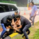 3 Spesialis Pembobol Toko Grosir di Aceh Dibekuk Saat Melintas di Gerbang Tol Kisaran 3 Spesialis Pembobol Toko Grosir di Aceh Dibekuk Saat Melintas di Gerbang Tol Kisaran