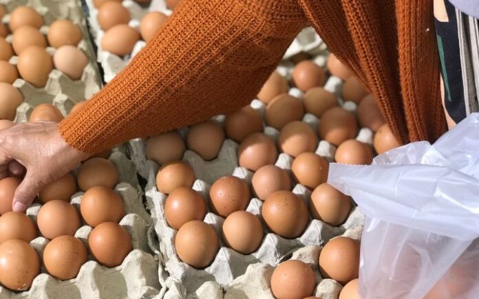 Harga Telur di Pidie Naik 122 Persen, Tembus Rp100 Ribu/Papan