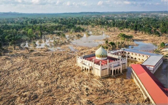 banjir Aceh (4) Kayu Sisa Banjir Bakal Digunakan Untuk Pembangunan Hunian Korban Bencana AJI Indonesia