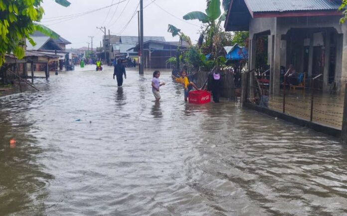 Diguyur Hujan 2 Hari, Banjir Rendam 4 Gampong di Muara Tiga Pidie