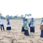 Pemkab Bireuen Target Rehabilitasi Sawah Rusak Selesai Sebelum April Pemkab Bireuen Target Rehabilitasi Sawah Rusak Selesai Sebelum Ramadan