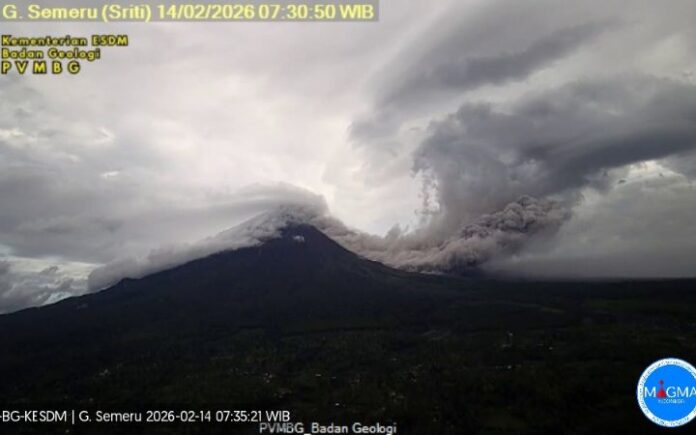 semeru Gunung Semeru Erupsi, Kolom Abu Menjulang hingga 2.000 Meter