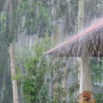 Aceh dan 9 Provinsi Lainnya Berstatus Siaga Hujan Sangat Lebat Aceh dan 9 Provinsi Lainnya Berstatus Siaga Hujan Sangat Lebat