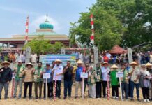 85 Hektare Sawah di Bireuen Ditanami Padi Gogo 85 Hektare Sawah di Bireuen Ditanami Padi Gogo
