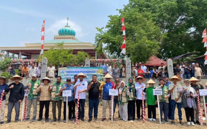 85 Hektare Sawah di Bireuen Ditanami Padi Gogo