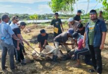 Sawang Kupula Uteunkot Sembelih 18 Hewan Kurban Sawang Kupula Uteunkot Sembelih 18 Hewan Qurban