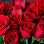 7 Ciri Ciri Perempuan Selamat dari Hanyutan Arus Deras Pelacuran ciri ciri perempuan