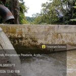BPP Peudada Optimistis 160 Hektar Sawah Siap Tanam Sesuai Jadwal BPP Peudada Optimistis 160 Hektar Sawah Siap Tanam Sesuai Jadwal