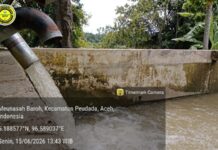 BPP Peudada Optimistis 160 Hektar Sawah Siap Tanam Sesuai Jadwal BPP Peudada Optimistis 160 Hektar Sawah Siap Tanam Sesuai Jadwal