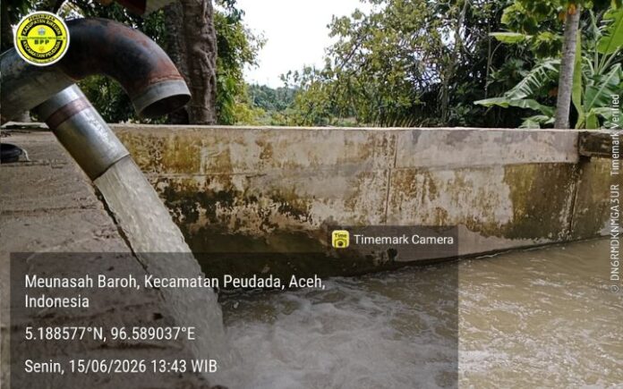 BPP Peudada Optimistis 160 Hektar Sawah Siap Tanam Sesuai Jadwal