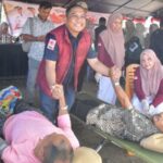 PMI Bireuen dan UPD RSUD dr. Fauziah Gelar Donor Darah, Target 200 Kantong PMI Bireuen dan UPD RSUD dr. Fauziah Gelar Donor Darah, Target 200 Kantong