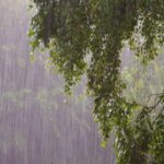 BMKG Peringatkan Potensi Hujan Lebat hingga 4 Juni, Aceh Masuk Wilayah Waspada BMKG Peringatkan Potensi Hujan Lebat hingga 4 Juni, Aceh Masuk Wilayah Waspada