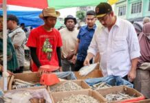 Pemerintah Longgarkan Syarat Pembiayaan untuk UMKM Terdampak Bencana Pemerintah Longgarkan Syarat Pembiayaan untuk UMKM Terdampak Bencana