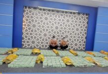 Bea Cukai Gagalkan Penyeludupan Sabu-sabu 325 Kilo ke Lhokseumawe penyeludupan sabu-sabu ke Lhokseumawe