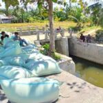Dukung Program Mentan, Petani Peudada Berharap Bisa Panen Hingga 3 Kali Setahun Dukung Program Mentan, Petani Peudada Berharap Bisa Panen Hingga 3 Kali Setahun
