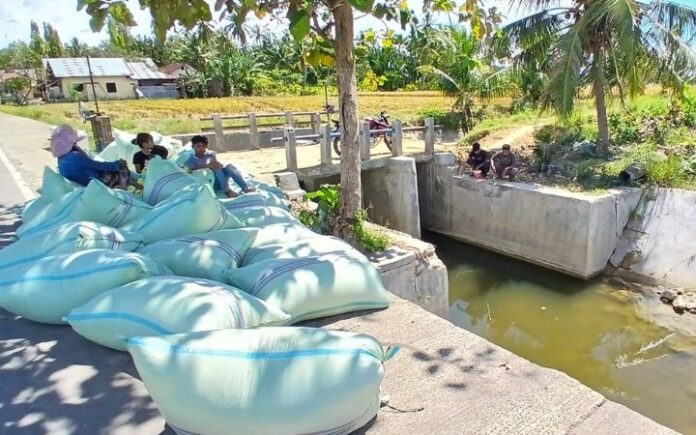 Dukung Program Mentan, Petani Peudada Berharap Bisa Panen Hingga 3 Kali Setahun