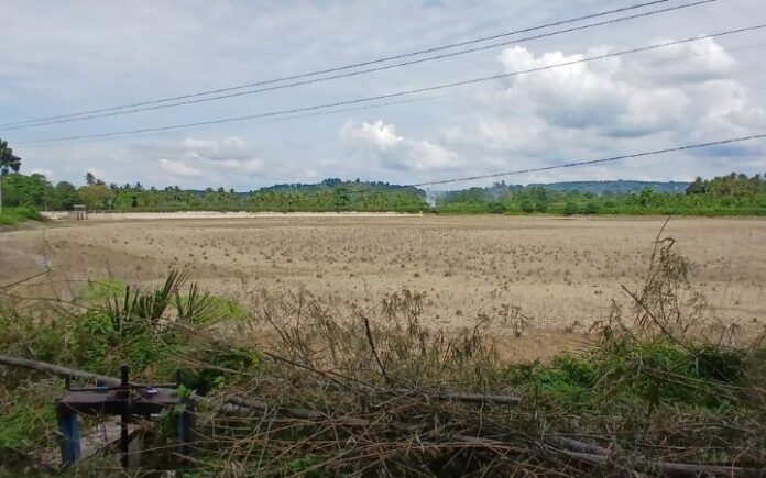 Keuchik Pulo Ara Minta Sedimentasi Waduk Paya Laot Dibersihkan
