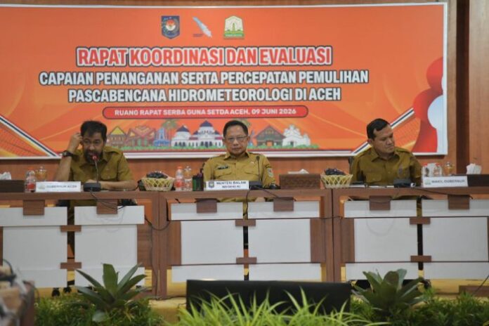 Di Hadapan Mendagri, Mualem Minta Percepatan Pemulihan Sawah dan Infrastruktur