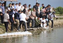KKP Targetkan 15.000 Hektare Tambak di Aceh Kembali Pulih Akhir 2026 KKP Targetkan 15.000 Hektare Tambak di Aceh Kembali Pulih Akhir 2026
