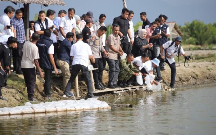 KKP Targetkan 15.000 Hektare Tambak di Aceh Kembali Pulih Akhir 2026