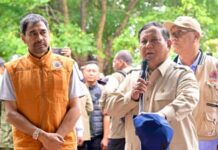 Mualem Surati Prabowo, Minta PoD I Lapangan Tangkulo Ditinjau Ulang Mualem Surati Prabowo, Minta PoD I Lapangan Tangkulo Ditinjau Ulang