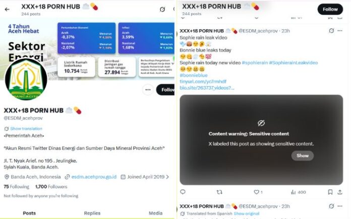 Akun X Resmi Dinas ESDM Aceh Diretas, Unggah Konten Spam dan Link Phising