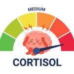 Benarkah High Cortisol Bisa Bikin Susah Tidur dan Mudah Stres? Benarkah High Cortisol Bisa Bikin Susah Tidur dan Mudah Stres?