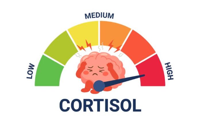 Benarkah High Cortisol Bisa Bikin Susah Tidur dan Mudah Stres?