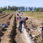 Rehabilitasi dan Optimalisasi Sawah Rusak Ringan & Sedang di Bireuen Rampung Rehabilitasi dan Optimalisasi Sawah Rusak Ringan & Sedang di Bireuen Rampung