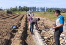 Rehabilitasi dan Optimalisasi Sawah Rusak Ringan & Sedang di Bireuen Rampung Rehabilitasi dan Optimalisasi Sawah Rusak Ringan & Sedang di Bireuen Rampung