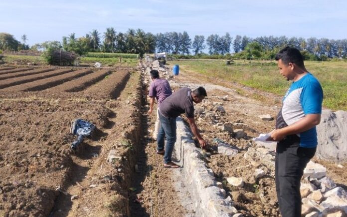 sawah rusak Rehabilitasi dan Optimalisasi Sawah Rusak Ringan & Sedang di Bireuen Rampung