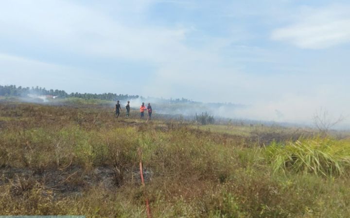 3 Hektare Sawah di Peudada Terbakar, Jalan Medan-Banda Aceh Sempat Tertutup Asap