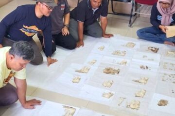 BRIN dan UIN Ar-Raniry Kembangkan Model Konservasi Manuskrip Terdampak Banjir