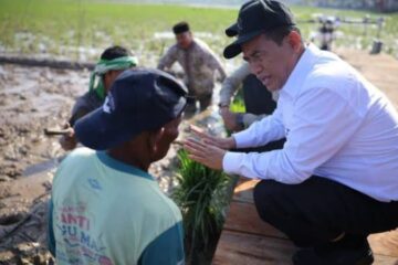 Tak Masuk Kas Daerah, Begini Skema Dana Rp2,5 T untuk Pemulihan Pertanian di Aceh