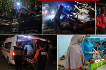 Pohon Tumbang Timpa Kendaraan di Pidie, 7 Orang Meninggal Dunia