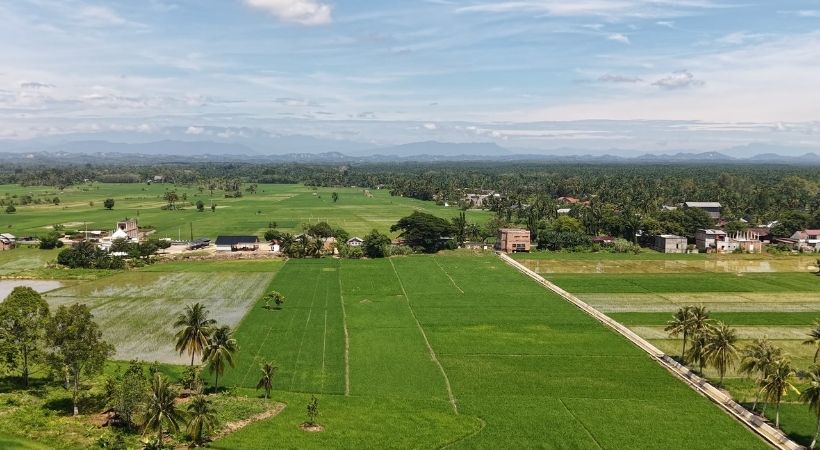 Aceh Tamiang Targetkan Seluruh Sawah Terdampak Siap Tanam November 2026