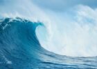 Tsunami Terdeteksi di Sejumlah Wilayah Usai Gempa M7,7 Guncang NTT