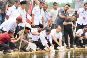 Aceh Timur Terima 4,2 Juta Benur Vaname Untuk Pemulihan Tambak