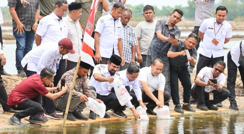 Aceh Timur Terima 4,2 Juta Benur Vaname Untuk Pemulihan Tambak