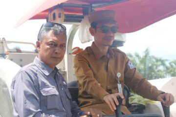 6.000 Hektare Sawah Aceh Barat Masuk Masa Panen