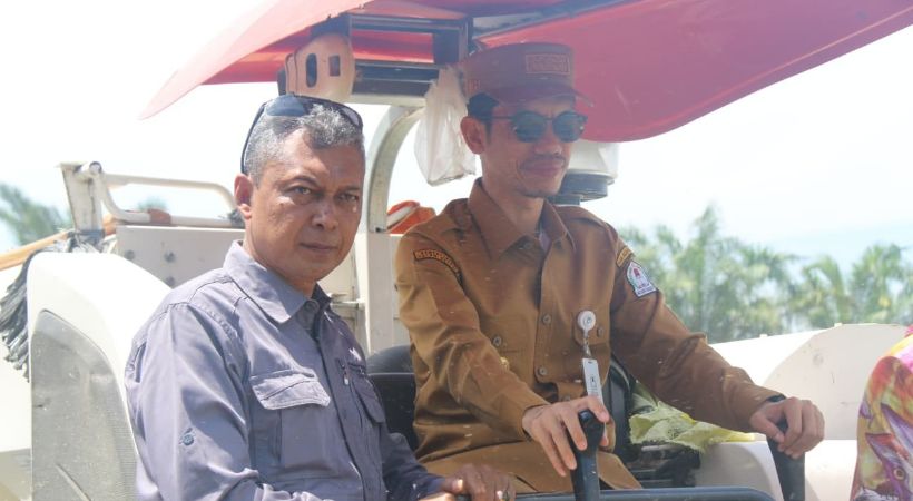 6.000 Hektare Sawah Aceh Barat Masuk Masa Panen