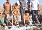 60 Hektare Tambak Terdampak di Bireuen Kembali Digarap