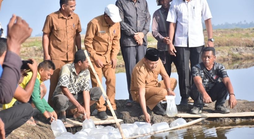 60 Hektare Tambak Terdampak di Bireuen Kembali Digarap