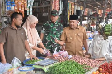 Bupati Bireuen Cek Harga Sembako di Pasar Induk Cureh