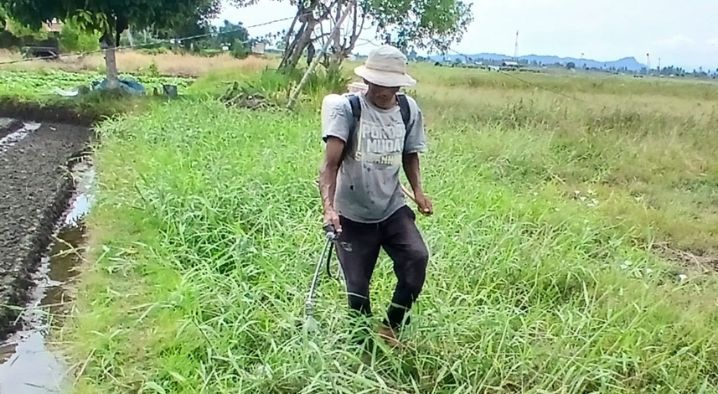 35 Hektare Sawah Terdampak di Cot Uno Kembali Digarap