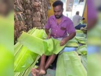 Daun Pisang Muda Jadi Komoditas Ekspor India