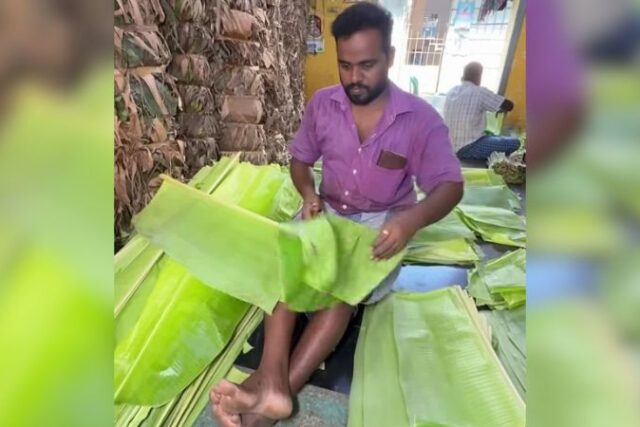 Daun Pisang Muda Jadi Komoditas Ekspor India