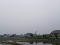 Kabut Asap Menebal, Dinkes Bireuen Imbau Masyarakat Waspada